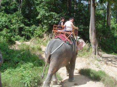 プーケットへ　象に乗りたくて