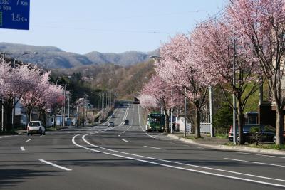 2009.5 ちょっと寄り道、「登別温泉の桜並木」