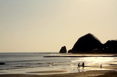静内二十間桜並木・襟裳岬　日帰りツアー　その2
