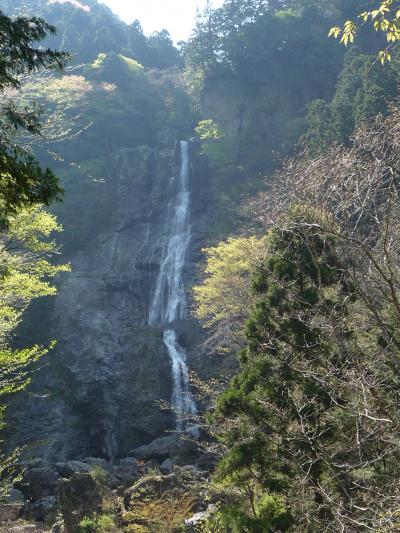 滝紀行◆落差50ｍの素晴らしい『琵琶の滝』（奈良県川上村）