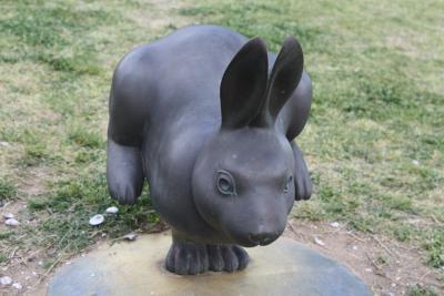 駆け足山陰旅行~宍道湖夕日編~