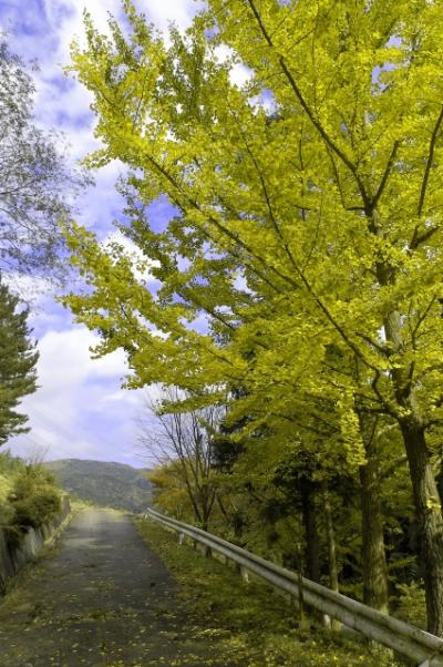 北茨城巡り2007。 「花園神社」 