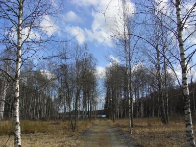 2009春の東欧＆北欧≫Express≫フィンランド