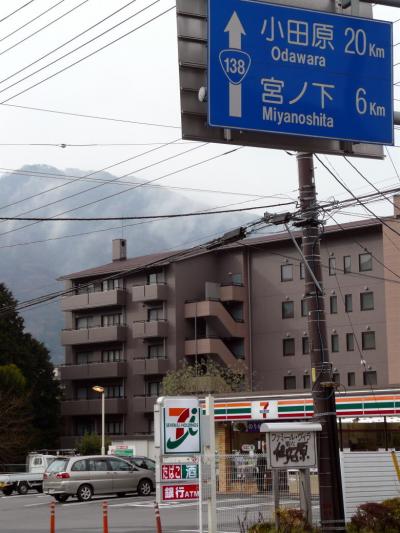 ０７．春休み後半の１泊旅行　東急ハーヴェストクラブ箱根甲子園　朝のホテル付近の散歩　ぎおん山花まつり