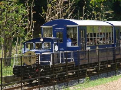 トロッコ列車「潮風号」に乗車