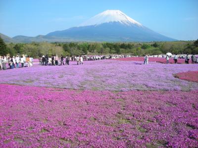 富士芝桜祭り第２弾