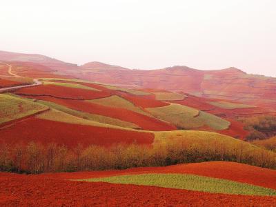 ◆中国雲南省　紅土地（hongtudi）　辺境の紅い大地に風冴ゆる