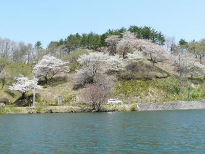 八塩いこいの森で黄桜を見る