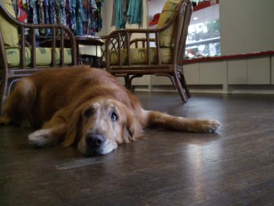 一年一ハワイ 一日目