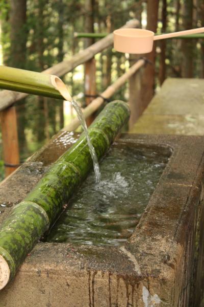 東北いなか巡り～　教科書に載っている中尊寺だ～　1日目　