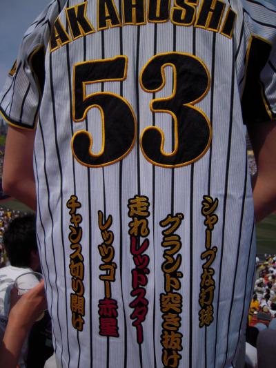 我が愛しの阪神タイガース　～bon虎会in横浜スタジアム２００９～