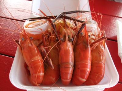 一年一ハワイ 二日目前半