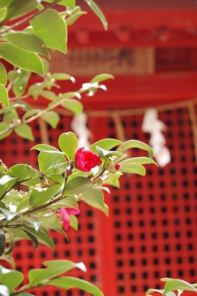 鷲子山上神社。 