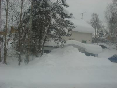 １０年来の夢が実現！オスロでヴィーゲランを！（１日目）