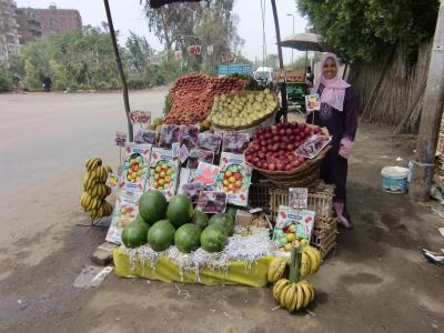 5000年分の遺跡を求めてエジプト１１（帰国）