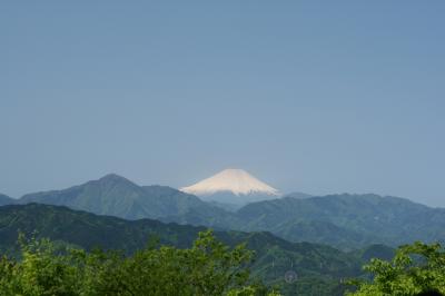 安近短?やっぱり高尾山がすき