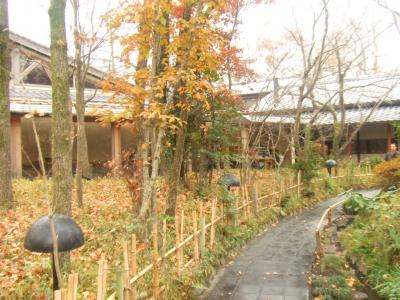 別府・湯布院温泉旅行(その4)湯布院観光