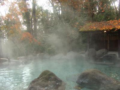 別府・湯布院温泉旅行(その6)二本の葦束 お風呂