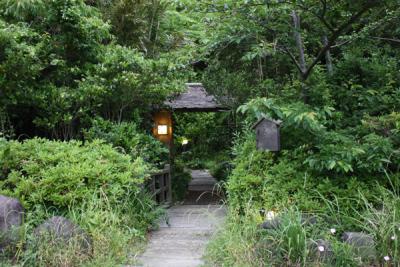 南伊豆の温泉でまったり…。南楽でゆったり。