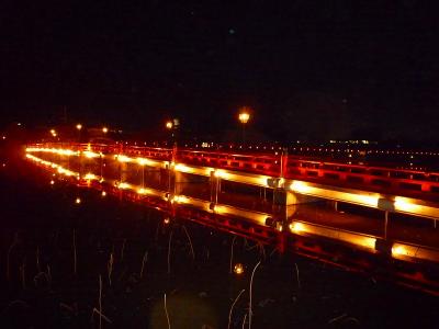 桜を追い求め、群馬と新潟に行ってきました！?