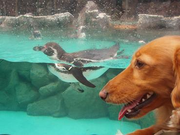 わんこと東北旅行☆三日目♪　part１