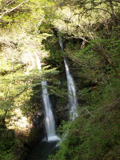 びわ湖バレイハイキング?　滝メグラーが行く２３　白滝谷ハイキングと夫婦滝　滋賀県大津市