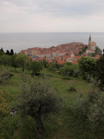 【2週間の中南欧ハネムーン】コペルからピランへショートトリップ