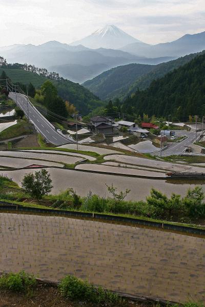 里山の棚田は今田植え時！