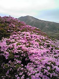 ★またまた”お千代さん”の「日帰りバスハイク」･･･阿蘇・湯布院の旅。