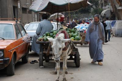 2008年UAE,エジプト、ヨルダン旅行-2-カイロ編1日目