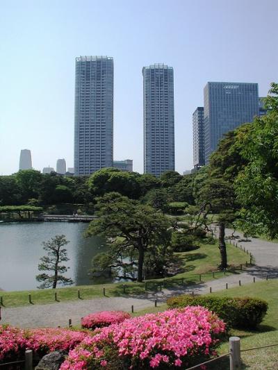築地市場と浜離宮散策・・・?浜離宮恩賜庭園散策