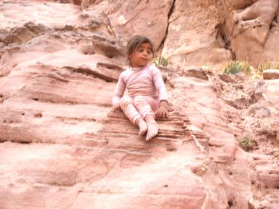 ぺトラ　エドディル～他情報