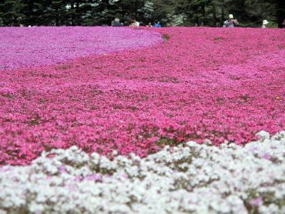 G.W プチ旅行　２日目