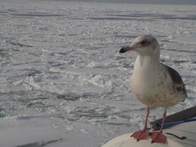 北海道鉄道の旅(網走編)