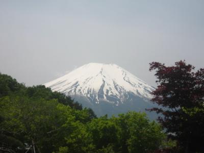 山中湖・花の都公園