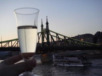 心弾むハンガリー　ブダベスト