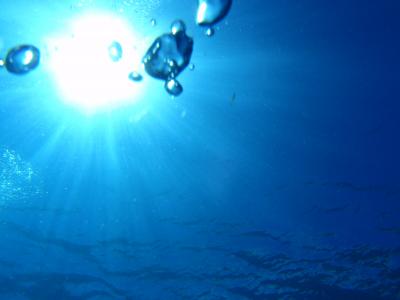 セブ島~初日・2日目~