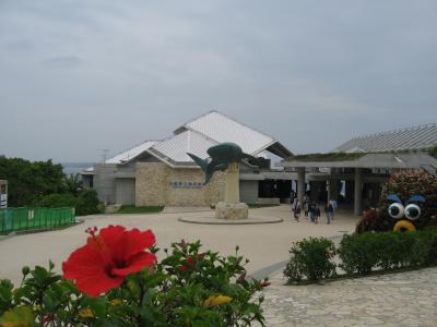2009沖縄旅行2日目 美ら海水族館