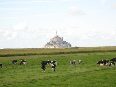 フランス旅行(パリ、モンサンミッシェルなど世界遺産を巡る旅)