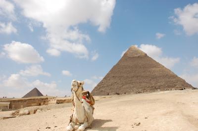 2008年UAE,エジプト、ヨルダン旅行-3-カイロ編2日目