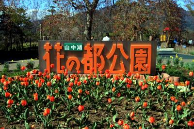 チューリップを見に山中湖花の都公園へ