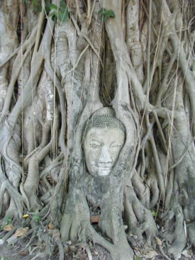 バンコク４日目・その１アユタヤ