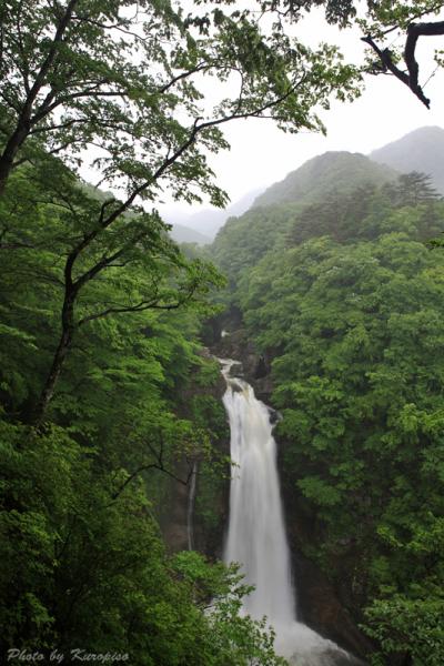 『日本の滝百選』　東北の名瀑　秋保大滝　(あきうおおたき)　残念ながら滝壺へは行けませんでした。　/宮城県仙台市
