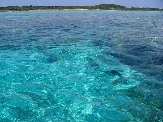 西表島・石垣島エンジョイスノーケリング