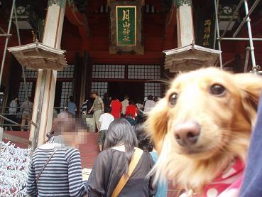 わんこと東北旅行☆三日目♪　part2