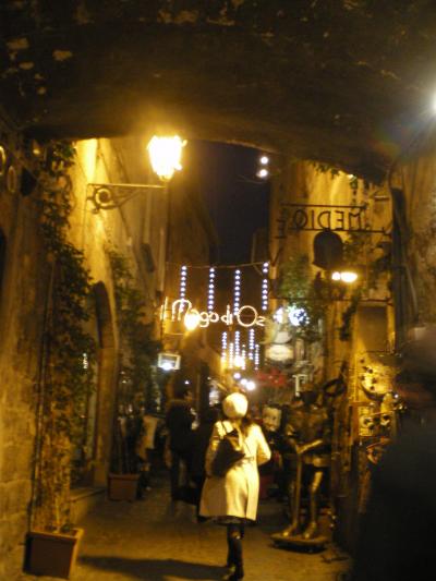 2009 お正月の旅 ローマ・バチカンの巻 イタリア周遊6日間①(アエロフロートロシア航空)