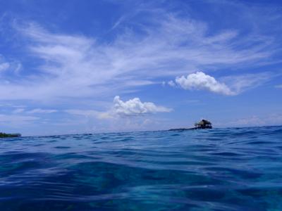 セブ島～4日目～