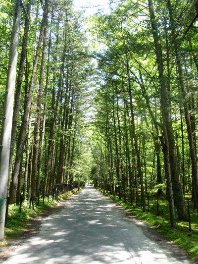 旧軽井沢・正味１時間半の旅！というか散歩(笑)　　　■　社員旅行二日目　■