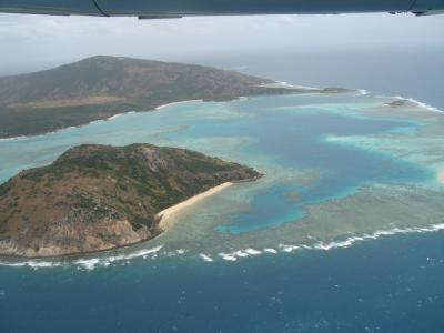 I LOVE LIZARD ISLAND!!　