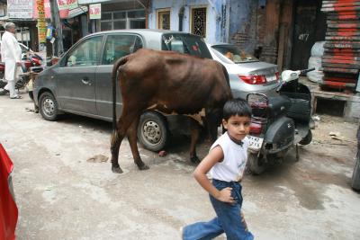 インドへ?デリー